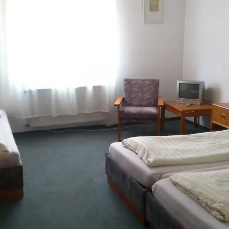 Мини-отель Landgasthof Gruner Baum