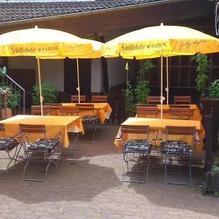 Penzion Landgasthof Gruner Baum