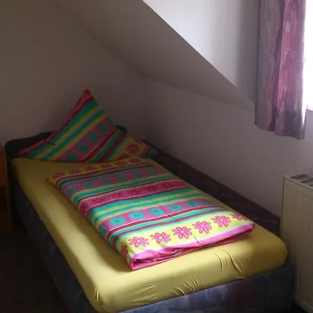 Penzion Landgasthof Gruner Baum 3*
