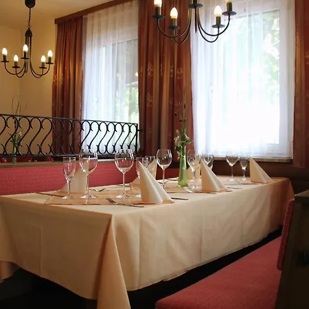 Penzion Landgasthof Gruner Baum 3*