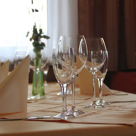Penzion Landgasthof Gruner Baum 3*